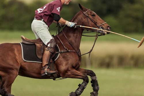 024 Christof Schmidt Sport