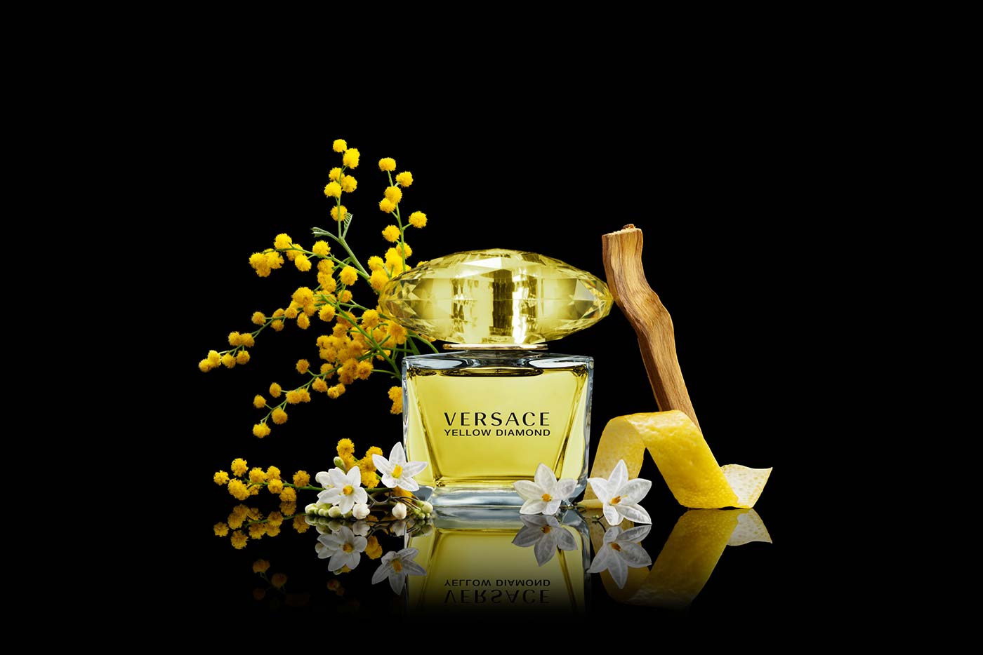 015 Michele Gastl VERSACE