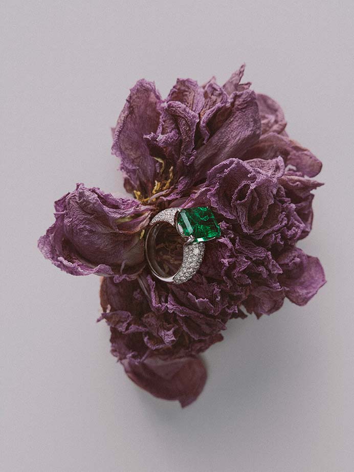 Nicolas Bruni – Portfolio