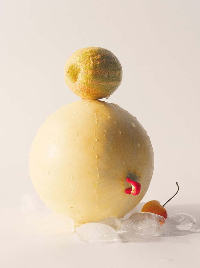 Nicolas Bruni Photography Andrea Maurer Still Life WET FRUITS 24 48